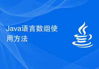 Java语言数组使用方法