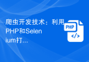 爬虫开发技术：利用PHP和Selenium打造一流的网络爬虫