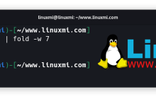有趣的宝藏！六个独特而惊人的 Linux 实用工具