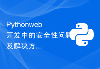 Python web开发中的安全性问题及解决方案