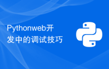 Python web开发中的调试技巧