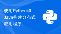 Best practices for building distributed applications using Python and Java
