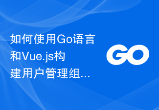 如何使用Go语言和Vue.js构建用户管理组件