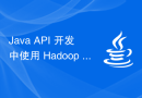 Java API 开发中使用 Hadoop 进行大数据处理
