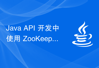 Java API 开发中使用 ZooKeeper 进行分布式协调