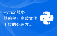 Python服务器编程：高效文件上传的处理方法
