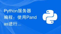 Python Server Programming: Data Analysis with Pandas