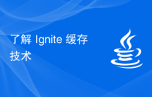 了解 Ignite 缓存技术