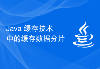 Cache-Daten-Sharding in der Java-Caching-Technologie