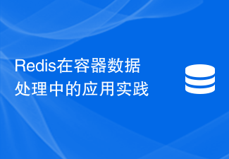 コンテナデータ処理におけるRedisの適用実践