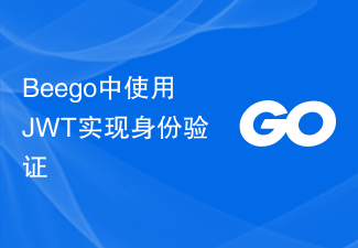 Verwendung von JWT zur Implementierung der Authentifizierung in Beego