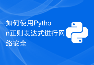 如何使用Python正则表达式进行网络安全