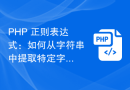 PHP 正则表达式：如何从字符串中提取特定字符到结尾的子字符串