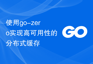 Utiliser go-zero pour implémenter un cache distribué haute disponibilité