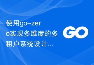 Gunakan go-zero untuk melaksanakan reka bentuk sistem penyewa berbilang dimensi