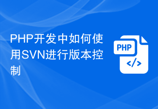 How to use SVN for version control in PHP development