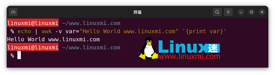 掌握 Linux awk 命令全面指南