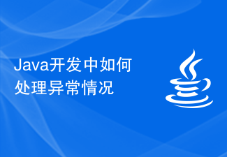 Java开发中如何处理异常情况