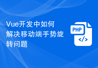 Vue 개발 시 모바일 제스처 회전 문제를 해결하는 방법