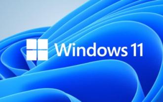 So erstellen Sie eine lokale Verbindung in Win11