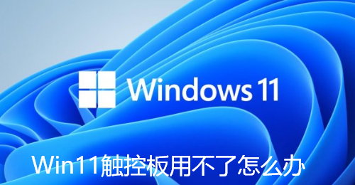 Win11触控板用不了怎么办