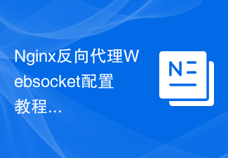 Nginx反向代理Websocket配置教程，实现实时通信