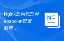 Nginx反向代理Websocket配置教程，实现实时通信