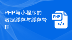 Data caching and cache management of PHP and mini programs