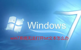 What to do if win7 system cannot open txt text