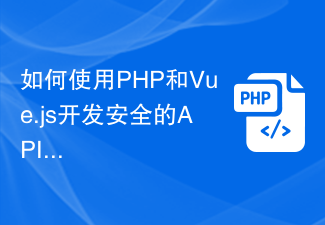 如何使用PHP和Vue.js开发安全的API接口