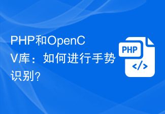 PHP 및 OpenCV 라이브러리: 제스처 인식을 수행하는 방법은 무엇입니까?