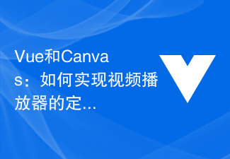 Vue和Canvas:如何实现视频播放器的定制化界面