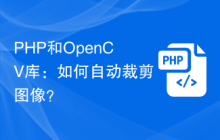 PHP和OpenCV库：如何自动裁剪图像？