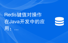 Redis键值对操作在Java开发中的应用：如何快速存取数据
