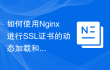 如何使用Nginx进行SSL证书的动态加载和更新