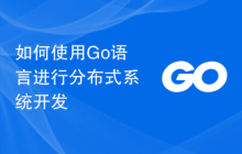 如何使用Go语言进行分布式系统开发