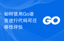 如何使用Go语言进行代码可迁移性评估