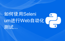 如何使用Selenium进行Web自动化测试