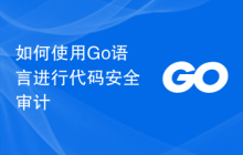 如何使用Go语言进行代码安全审计