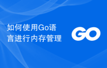 如何使用Go语言进行内存管理