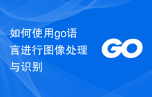 如何使用go语言进行图像处理与识别