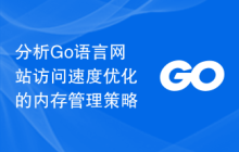 分析Go语言网站访问速度优化的内存管理策略