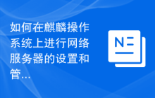如何在麒麟操作系统上进行网络服务器的设置和管理？