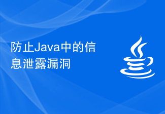防止Java中的信息泄露漏洞