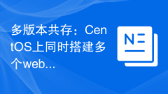 多版本共存:CentOS上同時建置多個web伺服器的指南