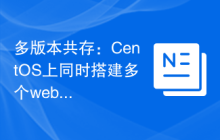 多版本共存:CentOS上同时搭建多个web服务器的指南