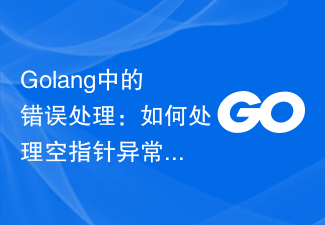 Ralat pengendalian dalam Golang: Bagaimana untuk mengendalikan pengecualian penunjuk nol?