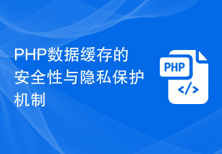 PHP数据缓存的安全性与隐私保护机制