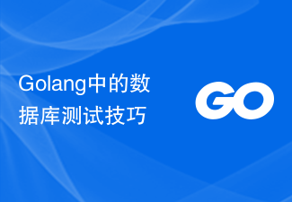 Fähigkeiten zum Testen von Datenbanken in Golang