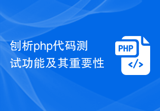 Analyze PHP code testing function and its importance
